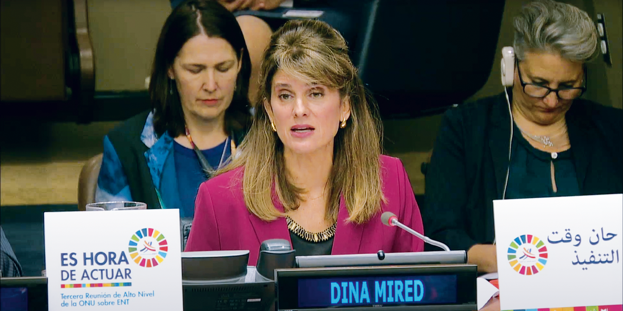 Her Royal Highness Princess Dina Mired of Jordan speaking on behalf of civil society as an 'Eminent Champion'   of non-communicable diseases at the United Nations General Assembly Third High-level Meeting on NCDs in New York in 2018